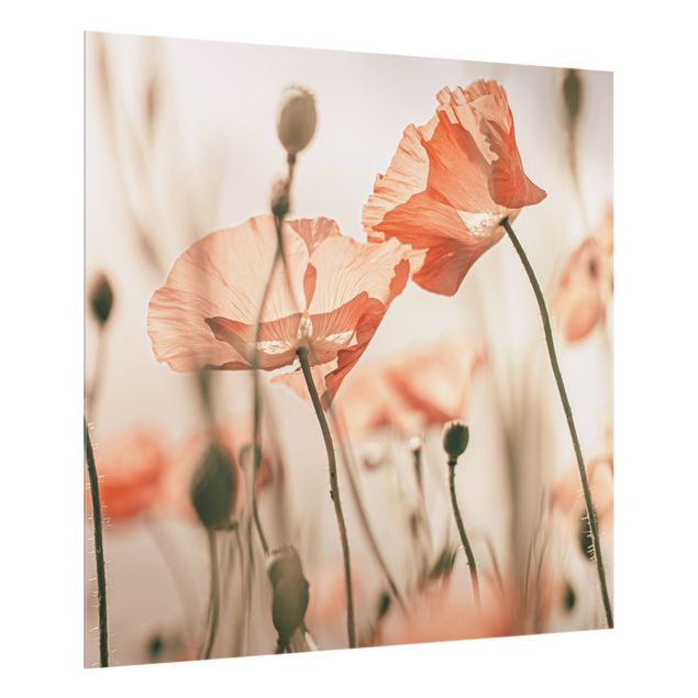 Cuadros de Monika Strigel Poppy Flowers In Summer Breeze