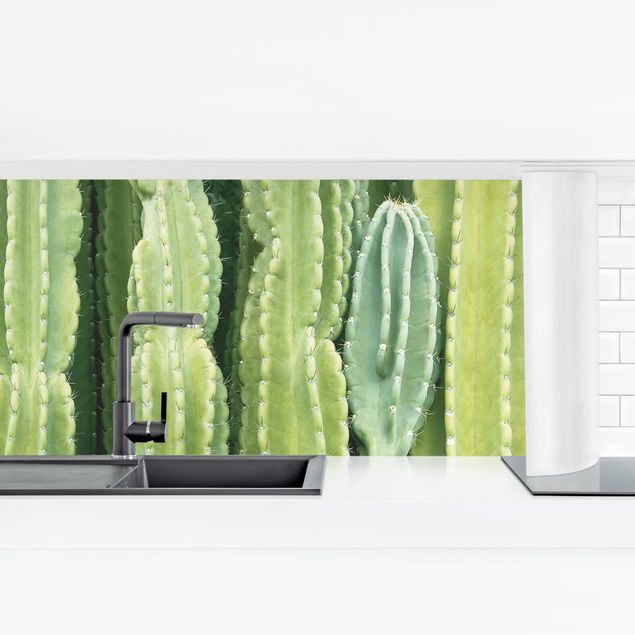 Salpicadero cocina Cactus Wall