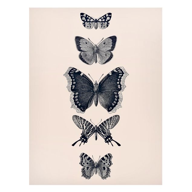 Cuadros de mariposas modernos Ink Butterflies On Beige Backdrop