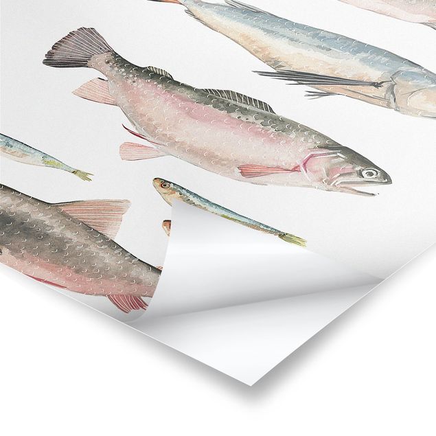 Cuadros modernos Seven Fish In Watercolour I