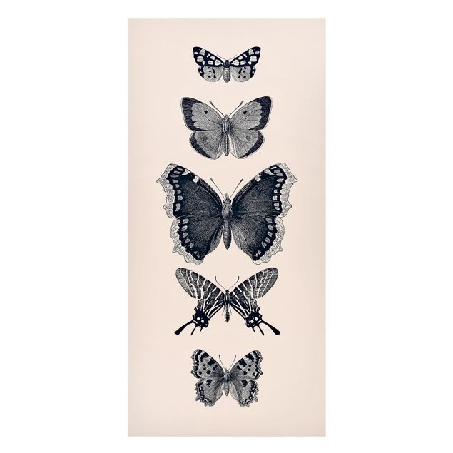 Cuadros de mariposas Ink Butterflies On Beige Backdrop