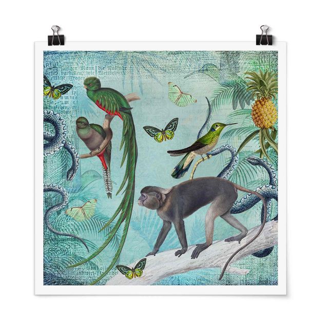 Cuadros de plantas naturales Colonial Style Collage - Monkeys And Birds Of Paradise