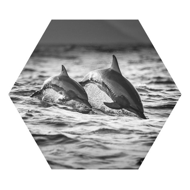 Cuadros modernos blanco y negro Two Jumping Dolphins