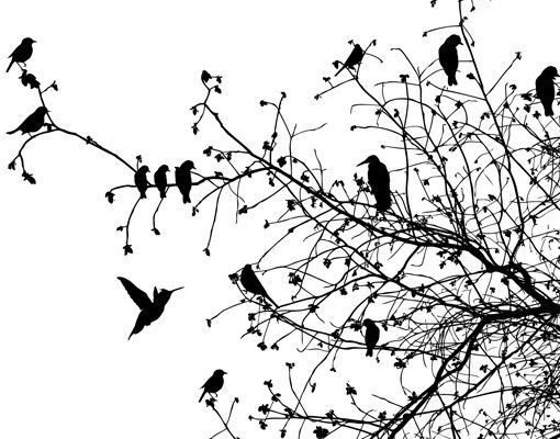Láminas de vinilo Branches and Birds in Autumn