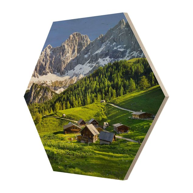 Cuadros hexagonales Styria Alpine Meadow