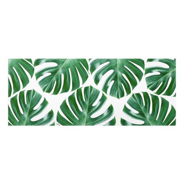panel-antisalpicaduras-cocina Tropical Green Leaves Monstera