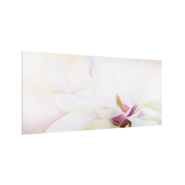 panel-antisalpicaduras-cocina Delicate Magnolia Blossom