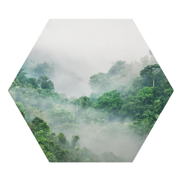 Cuadros de plantas naturales Jungle In The Fog
