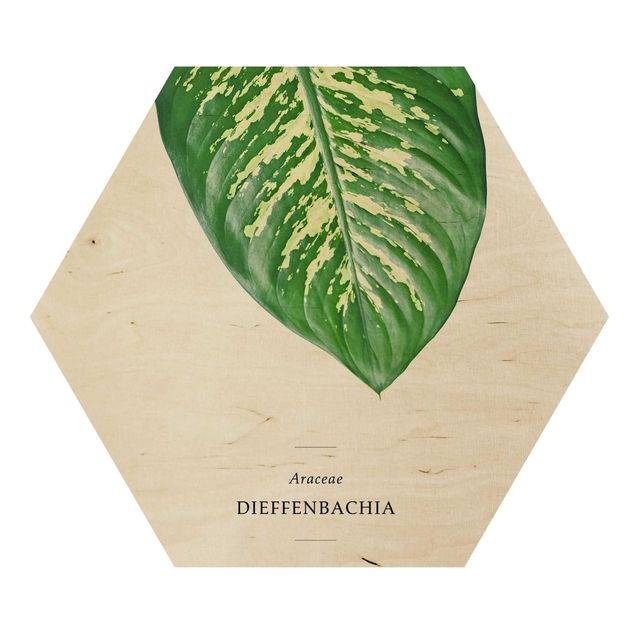 cuadro hexagonal Tropical Leaf Dieffenbachia