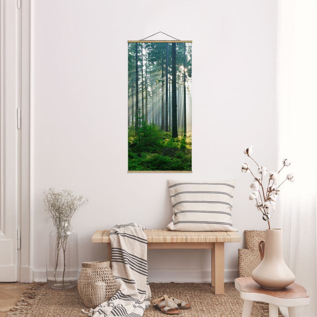 Cuadro con paisajes Enlightened Forest