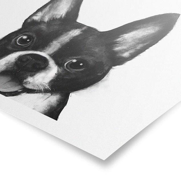 Póster animales Illustration Dog Boston Black And White Painting