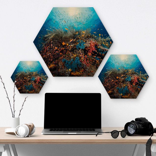 Hexagon Bild Holz - Lagune Unterwasser