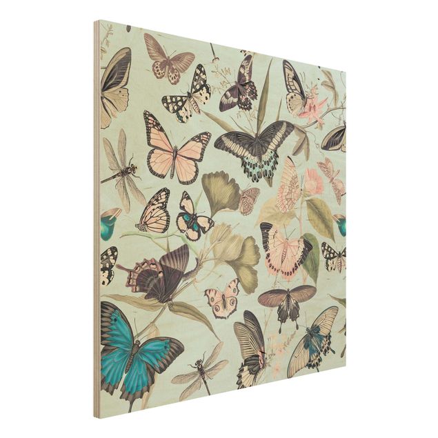 Decoración cocina Vintage Collage - Butterflies And Dragonflies