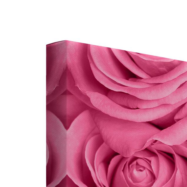 Lienzos decorativos Pink Roses