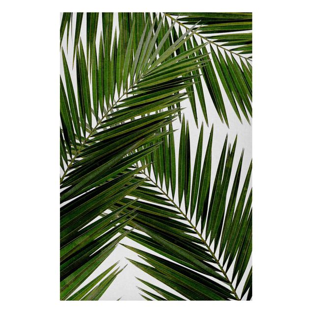 Cuadros paisajes View Through Green Palm Leaves