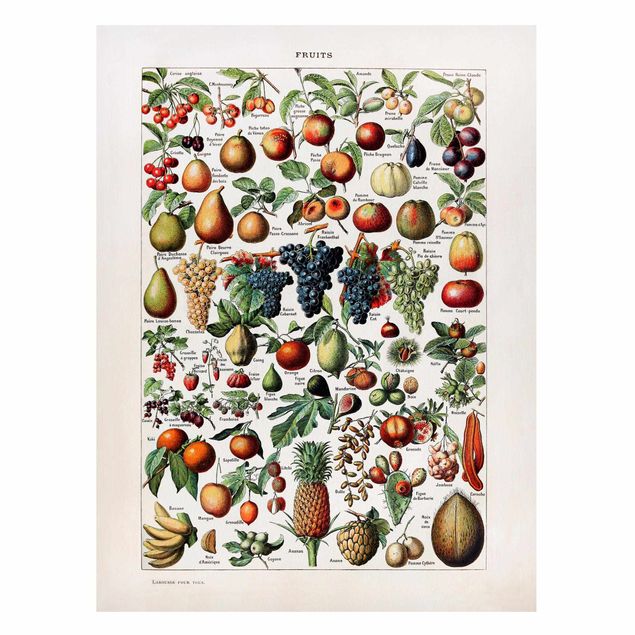 Cuadros de frutas modernos Vintage Board Fruits