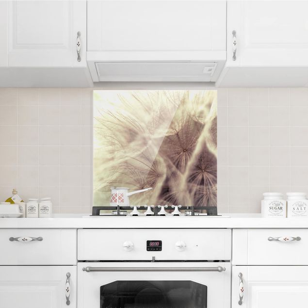 Panel antisalpicaduras cocina flores Detailed Dandelion Macro Shot With Vintage Blur Effect