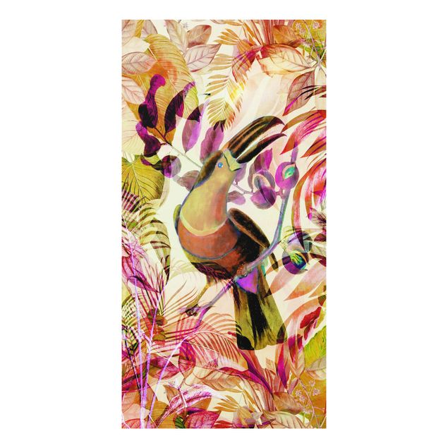 Cuadros de plantas naturales Colourful Collage - Toucan