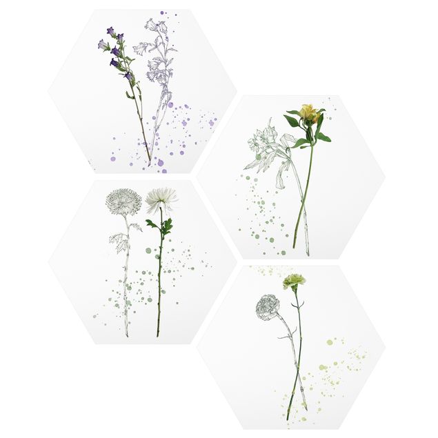 Cuadros modernos y elegantes Botanical Watercolour Set I