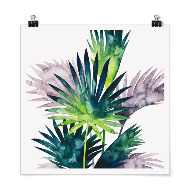 Cuadros plantas Exotic Foliage - Fan Palm