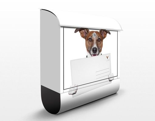 Buzones animales Dog With Letter
