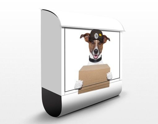 Buzones animales Dog With Package