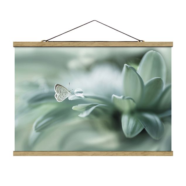 Cuadros de flores Butterfly And Dew Drops In Pastel Green