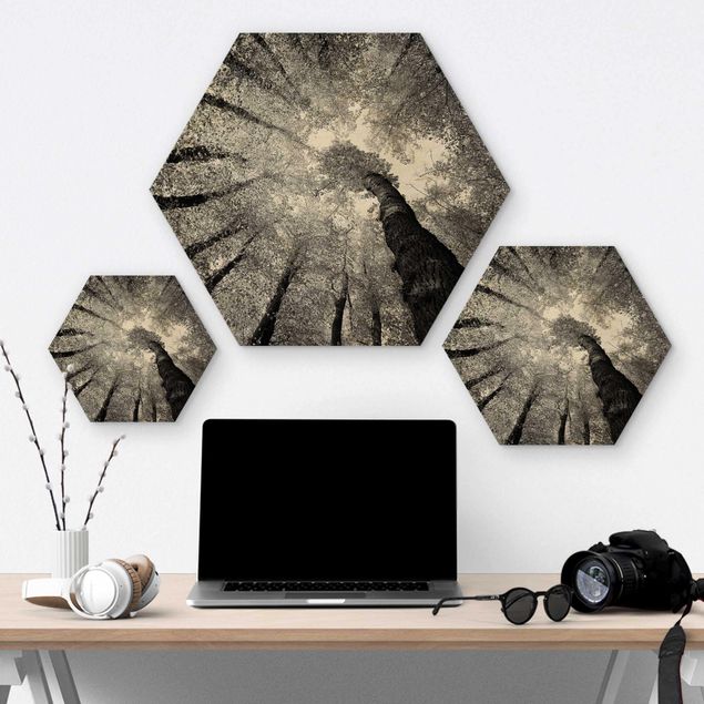 Hexagon Bild Holz - Bäume des Lebens II