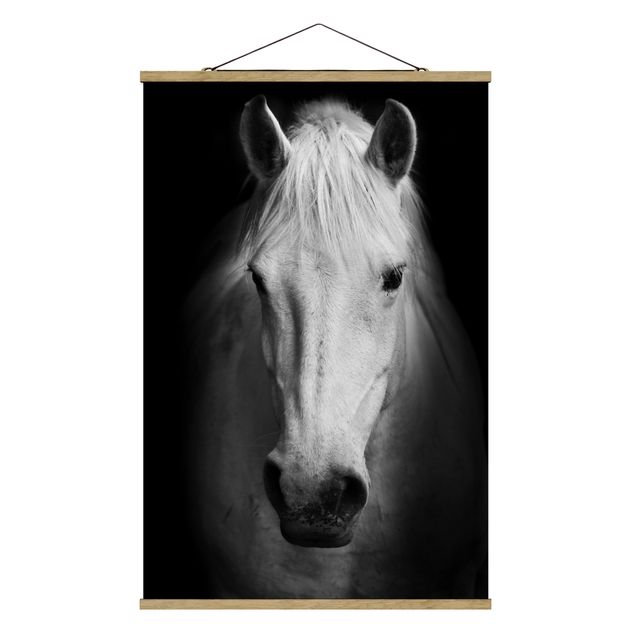 Cuadros animales Dream Of A Horse