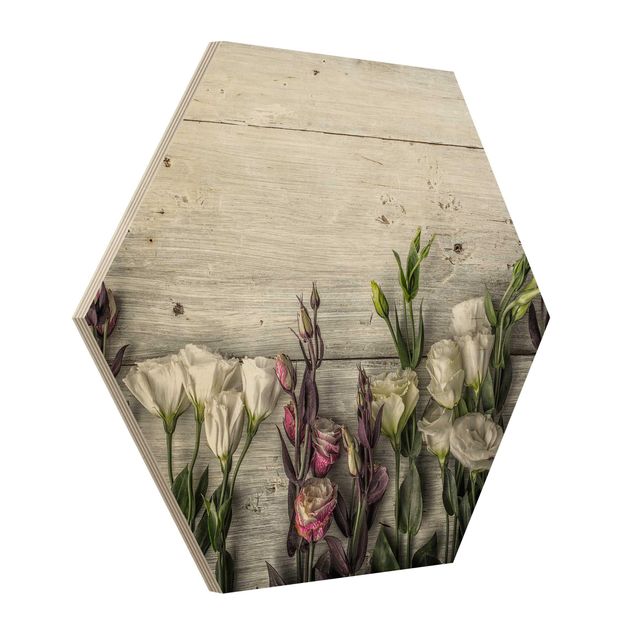 Cuadros hexagonales Tulip Rose Shabby Wood Look