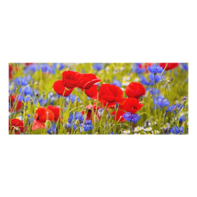 Salpicadero cocina cristal Summer Meadow With Poppies And Cornflowers