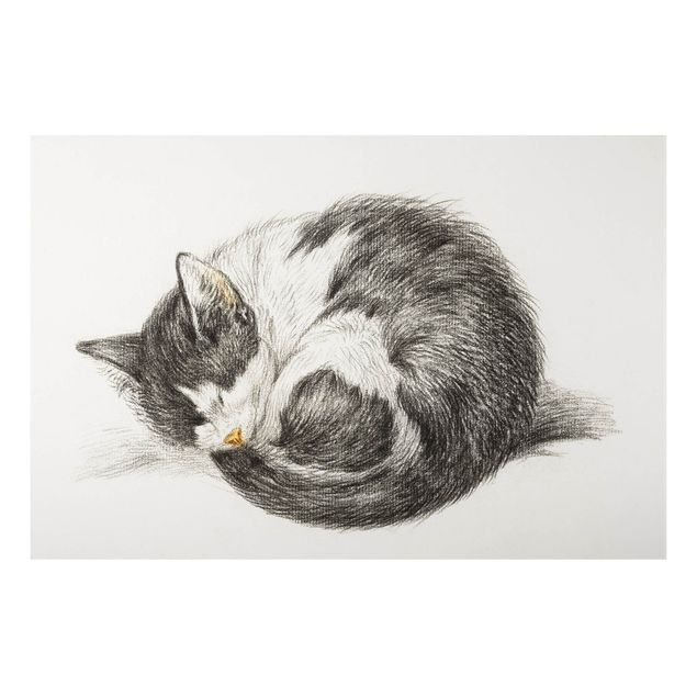 Cuadro con gato Vintage Drawing Cat II