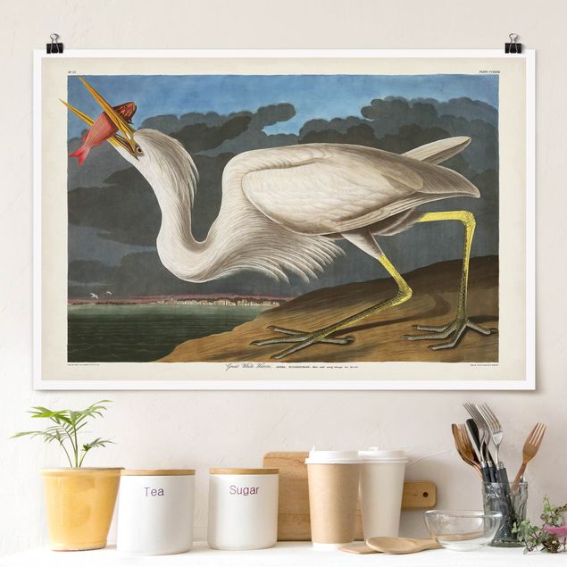 Decoración de cocinas Vintage Board Great White Egret