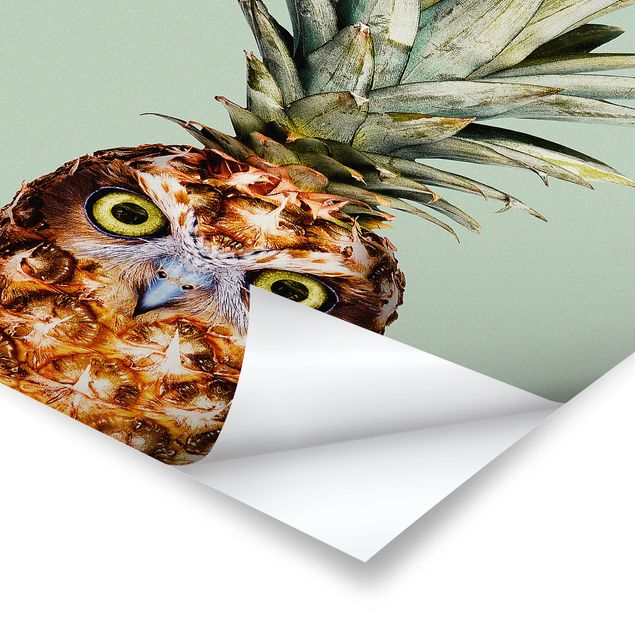 Cuadros modernos Pineapple With Owl