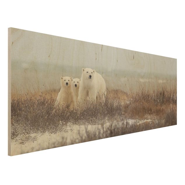 Decoración en la cocina Polar Bear And Her Cubs
