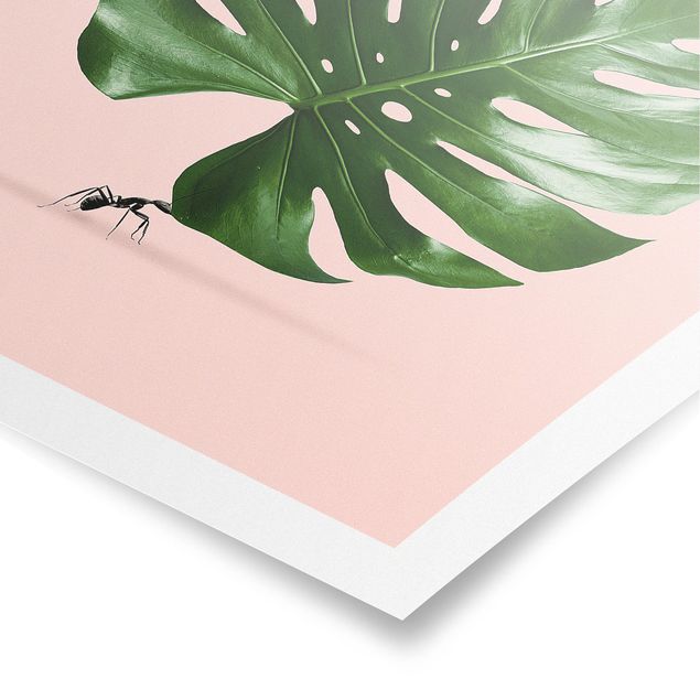 Cuadro verde Ant With Monstera Leaf