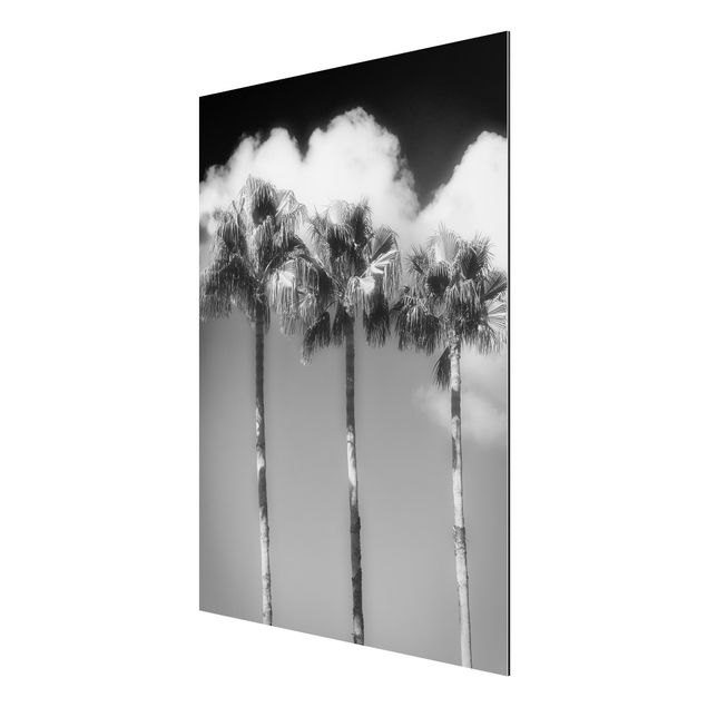 Cuadros plantas Palm Trees Against The Sky Black And White