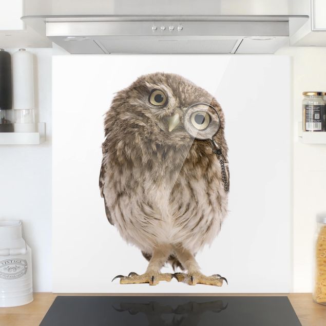 Decoración cocina Curious Owl
