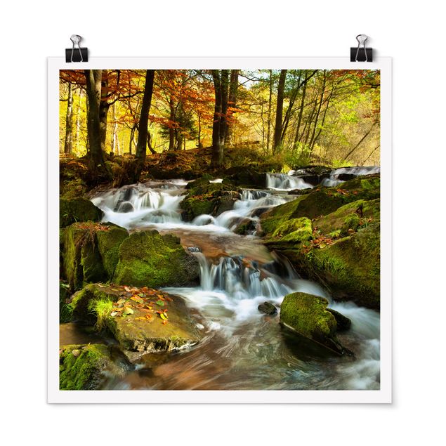 Cuadros paisajes Waterfall Autumnal Forest