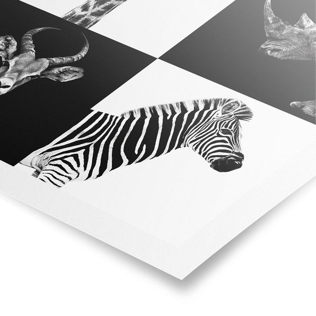 Póster blanco y negro Safari Quartet