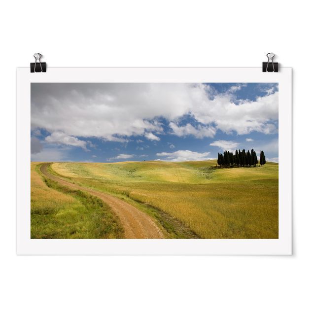 Póster de paisajes Cypresses In Tuscany