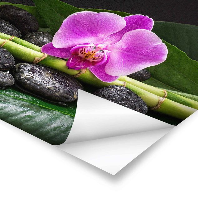 Cuadros verdes Green Bamboo With Orchid Flower