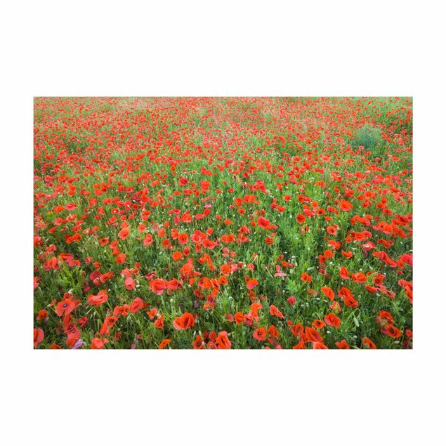 Alfombra roja Poppy Field