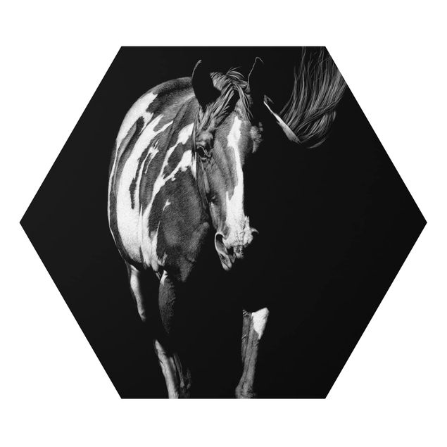 Cuadros modernos blanco y negro Horse In The Dark