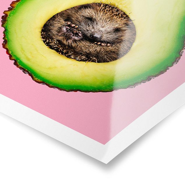 Cuadros Jonas Loose Avocado With Hedgehog