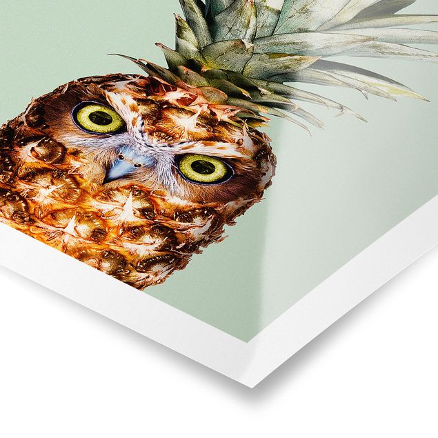 Cuadros Jonas Loose Pineapple With Owl