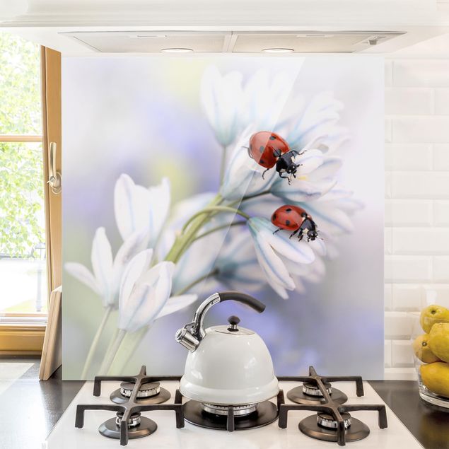 Decoración de cocinas Ladybug On Flowers