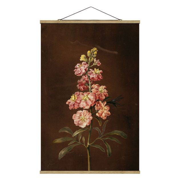 Cuadros plantas Barbara Regina Dietzsch - A Light Pink Gillyflower
