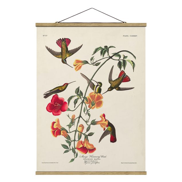 Cuadros retro vintage Vintage Board Mango Hummingbirds