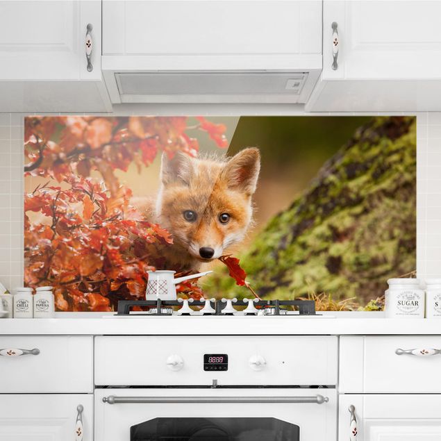 Decoración de cocinas Fox in Autumn